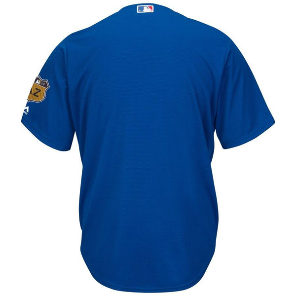 Chicago Cubs Majestic Spring Training Cool Base Team Jersey - Royal 2019