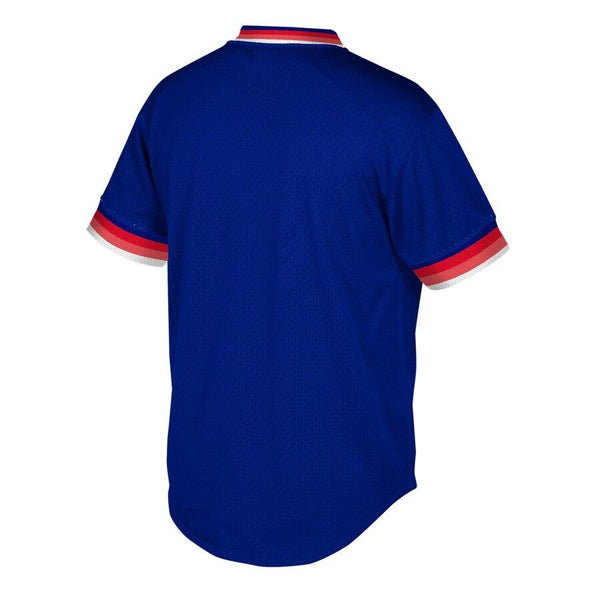 Chicago Cubs Mitchell &amp; Ness Cooperstown Collection Mesh Wordmark V-Neck Jersey – Royal 2019