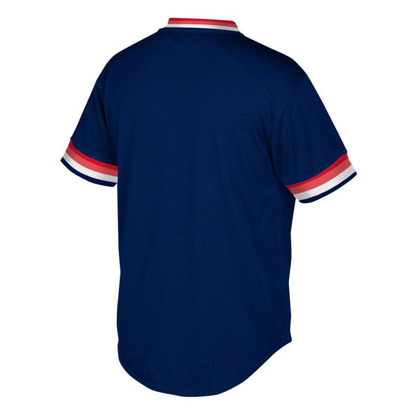 Minnesota Twins Mitchell &amp; Ness Cooperstown Collection Mesh Wordmark V-Neck Jersey – Navy 2019