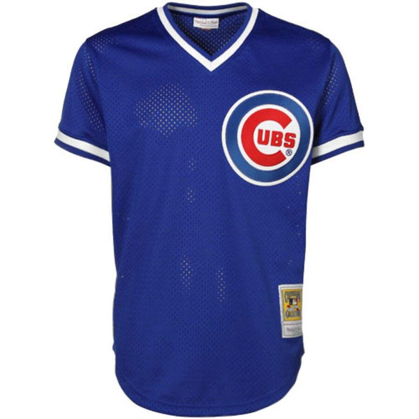Mitchell &amp; Ness Ryne Sandberg Chicago Cubs Cooperstown Collection Throwback Replica Jersey - Royal Blue 2019