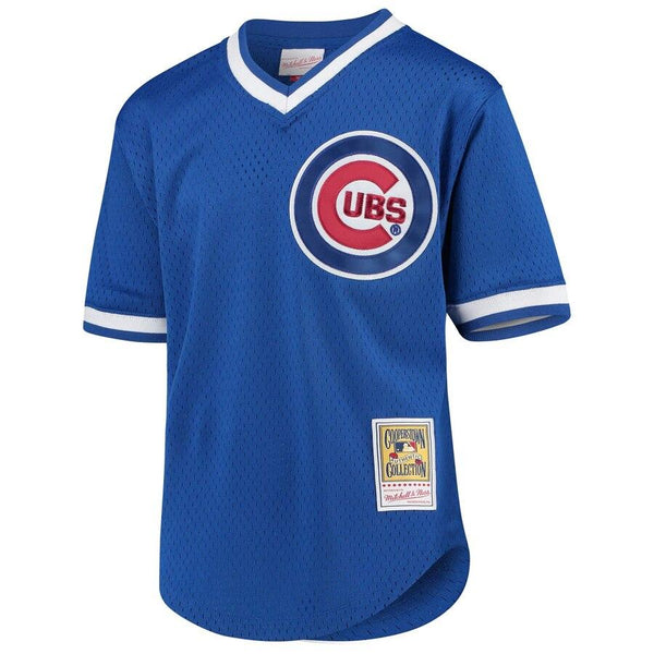 Ryne Sandberg Chicago Cubs Mitchell &amp; Ness Youth Cooperstown Collection Mesh Batting Practice Jersey – Royal 2019