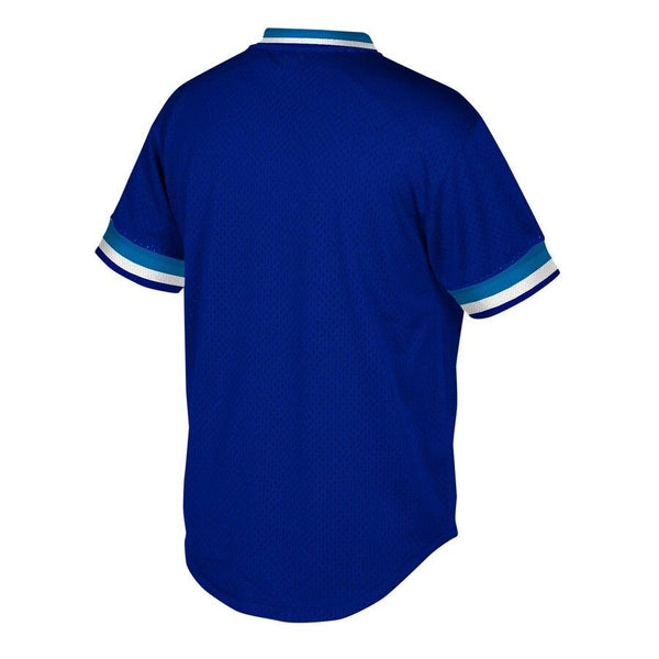 Toronto Blue Jays Mitchell &amp; Ness Cooperstown Collection Mesh Wordmark V-Neck Jersey – Royal 2019