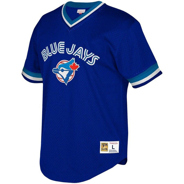 Toronto Blue Jays Mitchell &amp; Ness Youth Cooperstown Collection Mesh Wordmark V-Neck Jersey – Royal 2019