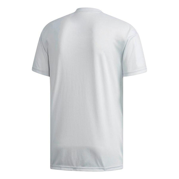 Japan National Team Away Replica Blank Jersey – Gray/White 2019